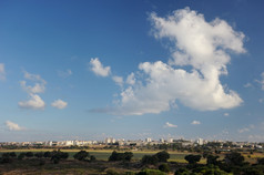 树灌木草和仙人掌浪费地面附近的小镇以色列荒地附近阿什凯隆以色列