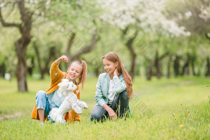 快乐小女孩与狗的公园小微笑女孩玩和拥抱小狗的公园