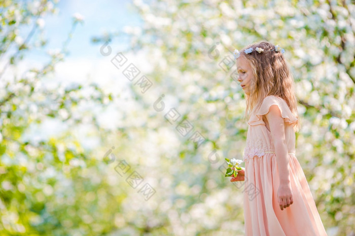可爱的小女孩盛开的苹果树花园春天一天可爱的小女孩盛开的苹果花园美丽的春天一天