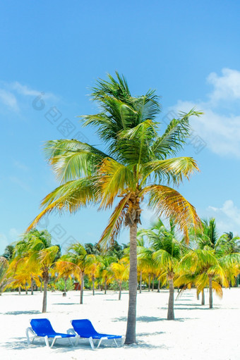 海滩休息室椅子美丽的热带海滩白色休息室椅子美丽的热带海滩马尔代夫