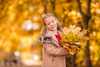 小女孩与红色的花束秋天叶子秋天秋天公园肖像可爱的小女孩与黄色的叶子花束秋天