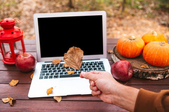 橙色南瓜和叶子附近移动PC电脑表格远程工作检疫木野餐表格秋天森林秋天季节时间橙色南瓜和叶子附近移动PC电脑表格秋天季节时间