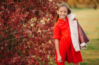 肖像可爱的小女孩与红色的叶秋天秋天公园在户外肖像可爱的小女孩与黄色的叶子花束秋天