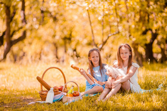 两个小孩子们野餐和玩与小狗的公园秋天一天两个小孩子们野餐的公园