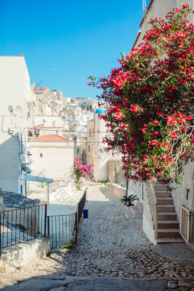 的狭窄的街道与楼梯白色房子和花美丽的村意大利美丽的体系结构建筑外佩斯基奇历史中心的狭窄的街道的岛与蓝色的阳台楼梯和花