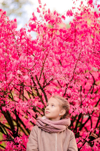 肖像可爱的小女孩在户外美丽的秋天一天在户外与令人惊异的粉红色的树背景可爱的小女孩美丽的秋天一天在户外