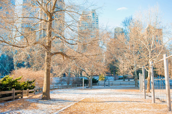 中央公园冬天新纽约城市美国美丽的中央公园新纽约城市