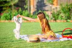 快乐女孩野餐玩与白色小狗绿色草的公园两个小孩子们野餐的公园
