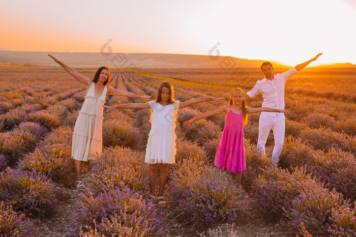 美丽的家庭紫色的花薰衣草场家庭假期家庭薰衣草花场日落白色衣服和他