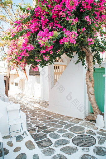 美丽的体系结构建筑外与基克拉迪群岛的风格希腊的狭窄的街道的岛与蓝色的阳台楼梯和花希腊
