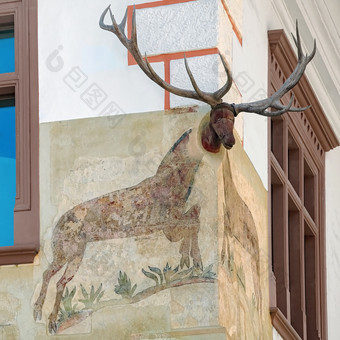 角落里房子与鹿头西吉什瓦拉罗马尼亚角落里房子与鹿头