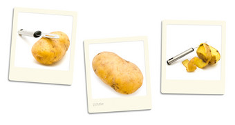 大意:老风格照片土豆在白色背景土豆照片