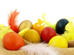 复活节作文与五彩缤纷的鸡蛋和羽毛棕色（的）解雇对白色复活节