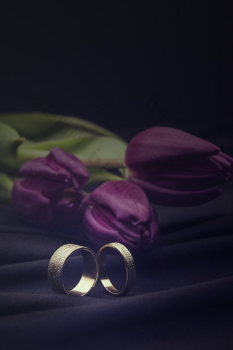 白色黄金婚礼环与花花束浪漫的白色黄金婚礼环显示软豪华的软黑色的布与花花束新鲜的紫色的春天郁金香与copyspace以上