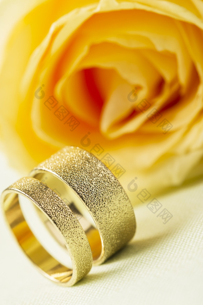 黄色的玫瑰与两个优雅的婚礼环黄色的玫瑰与两个优雅的变形黄金婚礼环站正直的一边一边白色背景与焦点的环为时尚的问候卡婚礼邀请