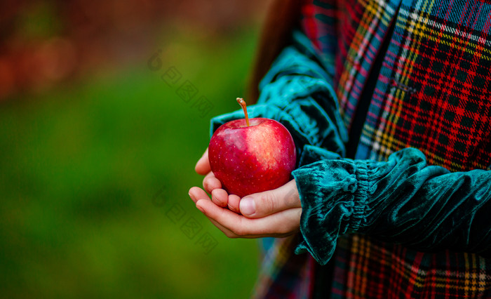 女孩持有红色的苹果她的手的秋天花园模糊背景的地方为文本收获有机苹果女孩持有红色的苹果她的手的秋天花园模糊背景的地方为文本