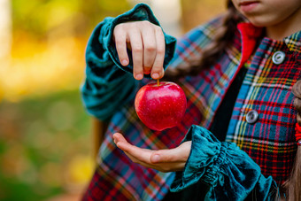 女孩持有红色的苹果她的手的秋天花园模糊背景的地方为文本收获有机苹果女孩持有红色的苹果她的手的秋天花园模糊背景的地方为文本