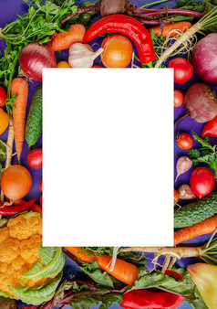 作文与生蔬菜西红柿辣椒胡萝卜茄子洋葱蓝色的背景框架蔬菜复制空间为文本作文与生蔬菜蓝色的背景框架蔬菜