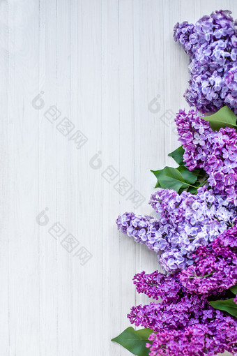 美丽的淡紫色木背景白色美丽的淡紫色木背景