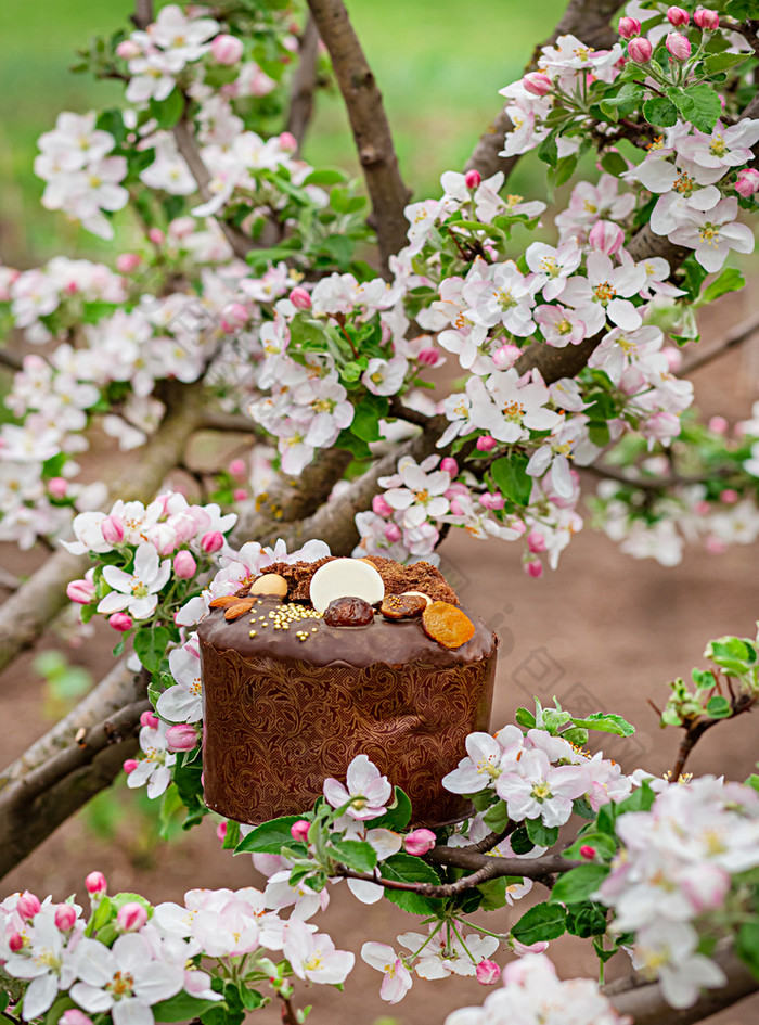 节日复活节蛋糕的背景开花苹果树的花园苹果树花清晰的阳光明媚的一天节日复活节蛋糕的背景开花苹果树的花园