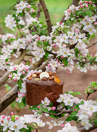 节日复活节蛋糕的<strong>背景</strong>开花苹果树的花园苹果树花<strong>清晰</strong>的阳光明媚的一天节日复活节蛋糕的<strong>背景</strong>开花苹果树的花园