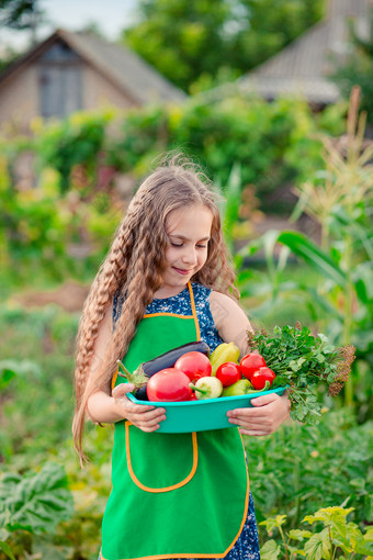 可爱的小女孩的花园与作物<strong>成熟</strong>的蔬菜的女孩收集作物<strong>成熟</strong>的有机西红柿的花园可爱的小女孩的花园与作物<strong>成熟</strong>的蔬菜的女孩收集作物<strong>成熟</strong>的西红柿的花园
