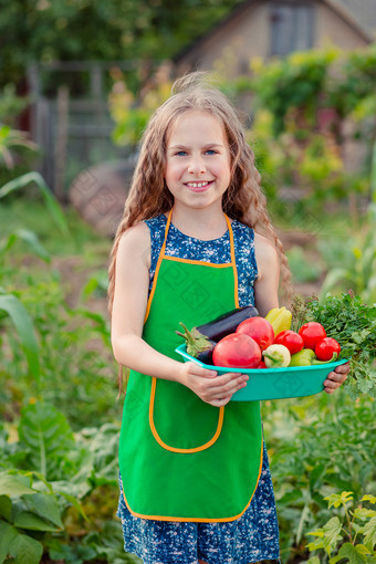 可爱的小女孩的花园与<strong>作物</strong>成熟的蔬菜的女孩收集<strong>作物</strong>成熟的有机西红柿的花园可爱的小女孩的花园与<strong>作物</strong>成熟的蔬菜的女孩收集<strong>作物</strong>成熟的西红柿的花园