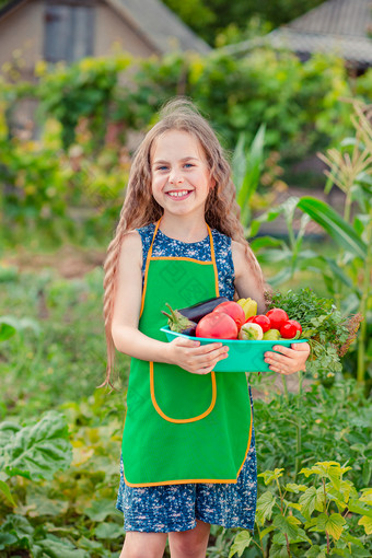可爱的小女孩的花园与作物<strong>成熟</strong>的蔬菜的女孩收集作物<strong>成熟</strong>的有机西红柿的花园可爱的小女孩的花园与作物<strong>成熟</strong>的蔬菜的女孩收集作物<strong>成熟</strong>的西红柿的花园