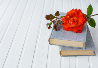 红色的玫瑰花在开放书白色木<strong>背景浪漫</strong>的和爱空间为你的消息红色的玫瑰花在开放书白色木<strong>背景浪漫</strong>的和爱