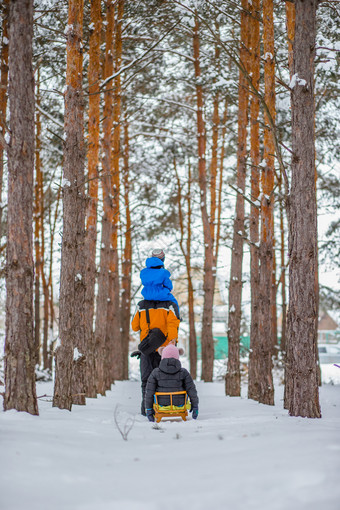 父亲走与他的年轻的孩子们的森林冬天冬天活动的雪雪橇和雪球父亲走与他的年轻的孩子们的森林冬天