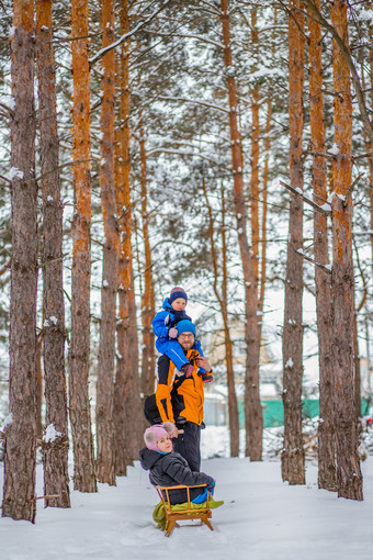 父<strong>亲走</strong>与他的年轻的孩子们的森林冬天冬天活动的雪雪橇和雪球父<strong>亲走</strong>与他的年轻的孩子们的森林冬天
