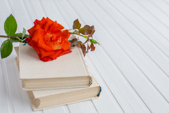 红色的玫瑰花在开放书白色木背景浪漫的和爱空间为你的消息红色的玫瑰花在开放书白色木背景浪漫的和爱