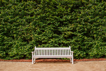 孤独的白色木公园板凳上绿色多叶的背景景观的公园孤独的白色木公园板凳上绿色多叶的背景