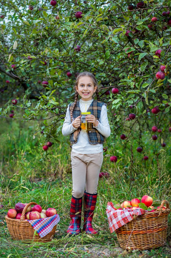 美丽的女孩与有机苹果的花园的概念收获美丽的女孩与有机苹果的花园