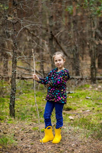 孩子们走的森林与<strong>拐杖</strong>蘑菇挑选的森林孩子们走的森林与<strong>拐杖</strong>