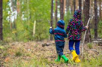 孩子们走的森林与拐杖蘑菇挑选的森林孩子们走的森林与拐杖
