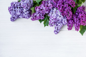 美丽的<strong>淡紫色</strong>木背景白色美丽的<strong>淡紫色</strong>木背景