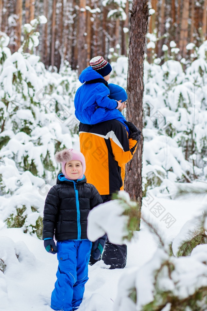 父亲走与他的年轻的孩子们的森林冬天冬天活动的雪雪橇和雪球父亲走与他的年轻的孩子们的森林冬天