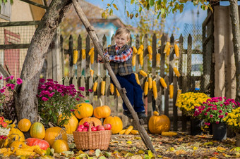 秋天收集<strong>苹果</strong>的农场孩子们收集水果的篮子户外有趣的为孩子们秋天收获<strong>苹果</strong>南瓜秋天收集<strong>苹果</strong>的农场孩子们收集水果的篮子户外有趣的为孩子们