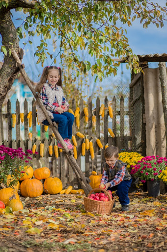 秋天收集苹果的农场孩子们收集水果的篮子户外有趣的为孩子们秋天收获苹果南瓜秋天收集苹果的农场孩子们收集水果的篮子户外有趣的为孩子们