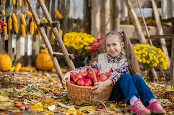 秋天收集<strong>苹果</strong>的农场孩子们收集水果的篮子户外有趣的为孩子们秋天收获<strong>苹果</strong>南瓜秋天收集<strong>苹果</strong>的农场孩子们收集水果的篮子户外有趣的为孩子们