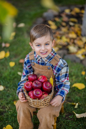 的男孩与苹果秋天作文与南瓜苹果和葡萄对的背景的秋天花园的男孩与苹果秋天作文与南瓜苹果和葡萄