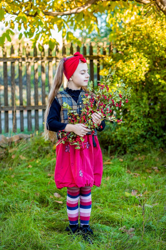 分支山楂的手可爱的女孩的花园秋天收获分支山楂的手可爱的女孩的花园