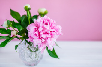 粉红色的牡丹花瓶木背景粉红色的牡丹花瓶