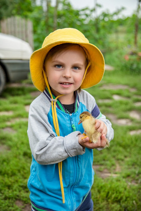 小男孩与小鸭子农场小男孩与小鸭子
