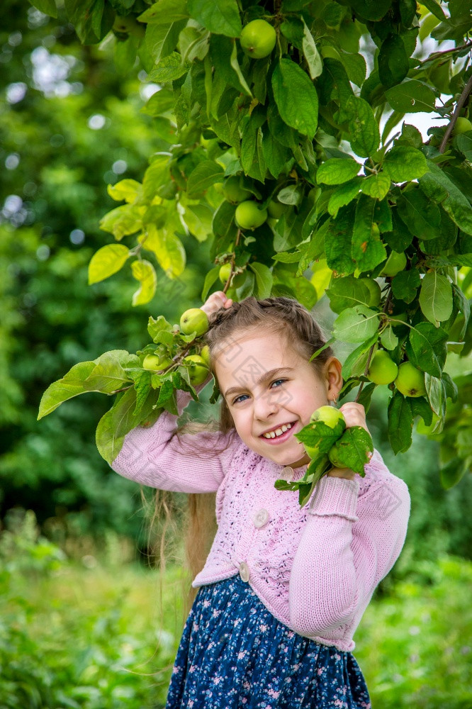 可爱的小女孩挑选苹果绿色草背景阳光明媚的一天可爱的小女孩挑选苹果