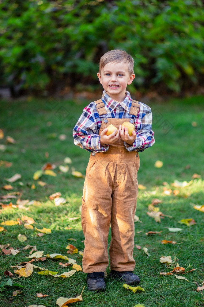 可爱的男孩与苹果他的手的花园阳光明媚的秋天一天肖像快乐的小男孩在户外可爱的男孩与苹果他的手的花园阳光明媚的秋天一天
