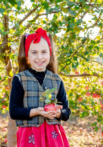 肖像可爱的女孩农场花园与红色的苹果她的手秋天收获苹果肖像可爱的女孩农场花园与红色的苹果她的手