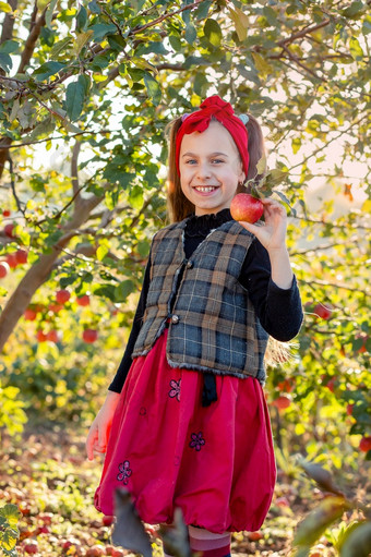 肖像可爱的女孩农场花园与红色的<strong>苹果</strong>她的手秋天收获<strong>苹果</strong>肖像可爱的女孩农场花园与红色的<strong>苹果</strong>她的手