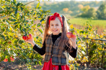 肖像可爱的女孩农场花园与红色的苹果她的手秋天收获苹果肖像可爱的女孩农场花园与红色的苹果她的手
